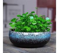 Round Large Shallow Glazed Planter Pots Outdoor Succulent Planter Bowl Bonsai Pots Garden Decorative Ceramic Flower Pot Non-Porous Suitable for Hydroponic Plant Container -B||18.5 * 7.5CM (B 18.5*7.5C