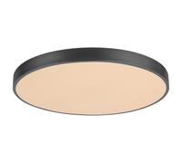 Round LED Ceiling Lamp Warm White Light 3000K IP20 Modern Black / Silver 36W HQ [EEK: D]