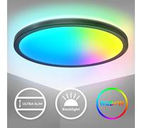 Round LED Panel Ceiling Light 29cm Remote Control Colour Change Dimmable RGB+W [EEK: D]