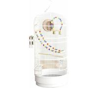 Round Metal Bird Cage Sturdy and Ventilated Bird House for Lovebirds Budgies Parakeets and Small Birds Indoor and Outdoor Parrot Cage
