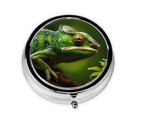Round mini Pill Box WZYWHJ Chameleon Picture Small and Portable with partitions for Medicine Storage for Travel and Daily use