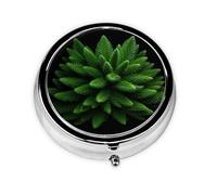 Round mini Pill Box WZYWHJ Spruce-Foliage Tree Printing Small and Portable with partitions for Medicine Storage for Travel and Daily use