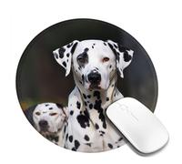 Round Mouse Pad with Non-Slip Rubber Base Dalmatian Dog Mouse Mat with Stitched Edge Gaming Mousepad for Wireless Mouse Computer Laptop Home Office Desk Pad 8"
