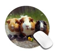Round Mouse Pad with Non-Slip Rubber Base Guinea Pigs Funny Mouse Mat with Stitched Edge Gaming Mousepad for Wireless Mouse Computer Laptop Home Office Desk Pad 8"