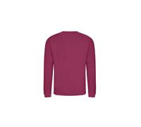 AWDis Men's Sweat Sweatshirt, Red (Cranberry), Large