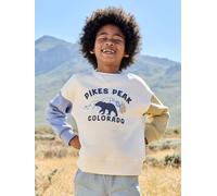 Round-neck sweatshirt with long sleeves for boys multicoloured