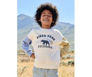 Round-neck sweatshirt with long sleeves for boys multicoloured