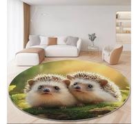 Round Photography Style Rug 150cm, Washable Non Slip Round Area Rug for Playroom - Nature Cute Animal Hedgehog Soft Plush Fluffy Printed Carpet for Living Room Kid’s Room Nursery Color