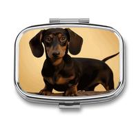 Round Pill Box A Cute Dachshund Pill Case for Purse & Pocket 2 Compartment Medicine Pill Organizer Portable Travel Pillbox Medicine Vitamin Cod Liver Oil Storage Box