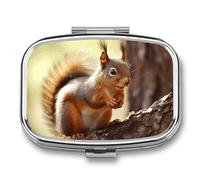 Round Pill Box Funny Squirrel Pill Case for Purse & Pocket 2 Compartment Medicine Pill Organizer Portable Travel Pillbox Medicine Vitamin Cod Liver Oil Storage Box