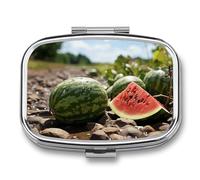 Round Pill Box Watermelon on The Ground Pill Case for Purse & Pocket 2 Compartment Medicine Pill Organizer Portable Travel Pillbox Medicine Vitamin Cod Liver Oil Storage Box