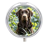 Round Pill Case Small Pill Box with Mirror Pocket 3 Compartment Brown Labrador Retriever Medicine Case Organizer Pills Containers for Traveling Purse & Pocket