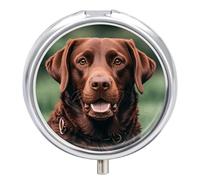 Round Pill Case Small Pill Box with Mirror Pocket 3 Compartment Brown Labrador Retriever Medicine Case Organizer Pills Containers for Traveling Purse & Pocket