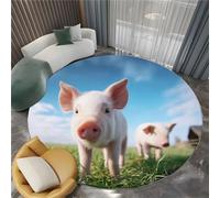 Round Rug 80 cm Photography Blue Sky White Clouds Pig Circles Soft Fluffy Round Area Rug, Blue Washable Non-Slip Floor Carpet - Living Room Bedroom Kids Room Bathroom, Easy Care