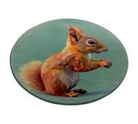 Round Rug 90 Orange Animals Bedroom Rug for Room Non Slip Washable Soft Carpet Area Rugs for Living Room,Soft Fluffy Short Pile Small Area Outdoor