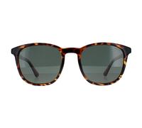 Round Shiny Dark Havana Green Polarized SPLF18E Police Brown One Size