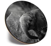 Round Single Coaster - BW - Baby Elephant Wild Animal |Glossy Quality Coasters | Tabletop Protection for Any Table Type #35670