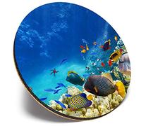 Round Single Coaster - Coral Reef Tropical Fish Tropics |Glossy Quality Coasters | Tabletop Protection for Any Table Type #44722