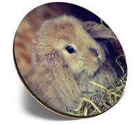 Round Single Coaster - Cute Baby Bunny Rabbit Pet Animal |Glossy Quality Coasters | Tabletop Protection for Any Table Type #44752