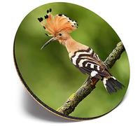 Round Single Coaster - Eurasian Common Hoopoe Bird |Glossy Quality Coasters | Tabletop Protection for Any Table Type #44978