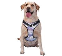 Round Snow Merry Christmas Pattern Dog Harness - Lightweight,Soft,Adjustable Small Harness and Leash Set, Suitable for Puppy Small and Medium-Sized Dog-Medium