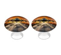 Round Stainless Steel Cabinet Knobs with Screws, 2 Pack - Modern Cupboard Door Knobs, Exquisite Military Aircraft Landing on Air Force Runway Drawer Pull Handles for Kitchen Closet Dresser Door Hardwa
