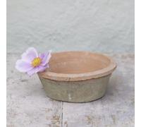 Round Terracotta Dish Planter, Shallow Succulent Plant Pot, Redstone Weathered Terracotta Plant Pot, Aged Stone Rustic Pot, Weathered Small Planter, Seeds Bulb Crocus Pot (15 x 5cm)