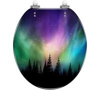 Round Toilet Seat Multicolored Northern Lights Borealis Canadian Resin Toilet lid Quietly Close Quick Release Hinges Decorative Seat with Cover Easy to Clean and Install (Color3)
