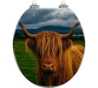 Round Toilet Seat Portrait Scottish Highland Cow Snow Forest Resin Toilet lid with Quietly Close Quick Release Hinges Decorative Seat with Cover Easy to Clean and Install (Color7)