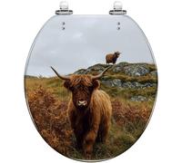 Round Toilet Seat Portrait Scottish Highland Cow Snow Forest Resin Toilet lid with Quietly Close Quick Release Hinges Decorative Seat with Cover Easy to Clean and Install (Color1)