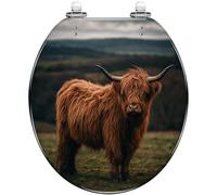 Round Toilet Seat Scottish Highland Cow Resin Toilet lid with Quietly Close Quick Release Hinges Decorative Seat with Cover Easy to Clean and Install (Color6)