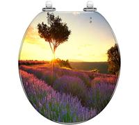 Round Toilet Seat with Quiet Close and Quick Release Hinges, Decorative Resin Lid, Easy to Clean and Install, Morning Radiance Design