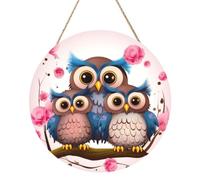 Round Wood Panel Painting 12 Inch, Home Wall Decor Wooden Ornament | Cute Owls Round Wall Art, Wood Round Plaques For Crafts, Personalized Hanging Sign With Twine