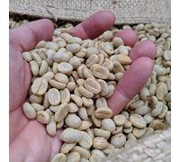 Rounton Coffee Green Coffee Beans - Single Origin El Salvador Washed Process Raw Unroasted Coffee Beans for Home Roasting - 500g