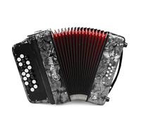 Rowadtim Accordion with 22 Keys and 8 Basses, Lightweight and Compact, Ideal for Beginners and Adults, with a Stylish Design and Easy to Learn (8 Bass, Grey)