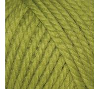 Rowan Big Wool Yarn - Reseda 069 100g