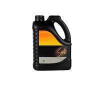 ROWE 25027-0010-99 Differential oil