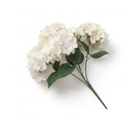 rowen homes Artificial Hydrangea Faux Floral Bunch - Realistic Cream Flower Bloom Bouquets for Wedding, Party or Home Decorations - Luxury Interiors