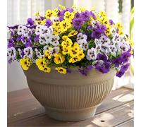 Rowfad 18 Bundles Artificial Fake Pansy Flowers for Outdoor, Faux UV Resistant Silk Pansies Flowers for Outside Planter Front Door Porch Yard Patio Window Box Home Decor (18, Purple, Yellow, White)
