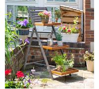 Rowlinson Alderley Plant Ladder - Large