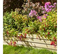Rowlinson Ledbury 8" Border Edging - 2 Pack