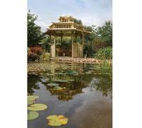 Rowlinsons Oriental Pagoda - L329 x W402.5 x H332 cm in Brown Rowlinsons Brown