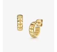 ROX SCULPT Ridge Gold Vermeil Hoop Earrings Hoop Earrings Luxury Vermeil - Gold Plated Silver