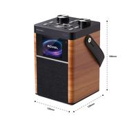 Roxel Vogue Portable DAB/DAB+ FM Radio & Wireless Speaker with Clear Sound, Alarm Snooze Function, Remote Control, USB, LCD Screen, Carrying Strap, 8