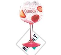 Roxley Gordon's X2 Large Pink Gin Balloon Glass| Also Comes with 2 Branded Gin Coctail Mats