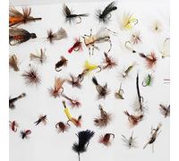 RoxStar Fly Fishing Shop Dry Fly Hatch Pack! | 5dz Dry Flies for Trout | Match The Hatch with Our 60pk of Fly Fishing Flies for Trout! Tied in House - Never Outsourced!