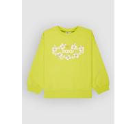 Roxy Morning Hike Terry Rg Sweatshirt Green,Yellow 14 Years Girl