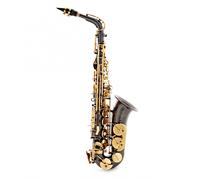 Roy Benson AS202 Alto Saxophone Black and Gold