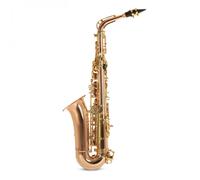 Roy Benson AS202 Alto Saxophone Bronze