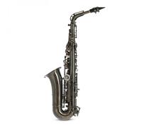 Roy Benson AS202 Alto Saxophone Frosted Black
